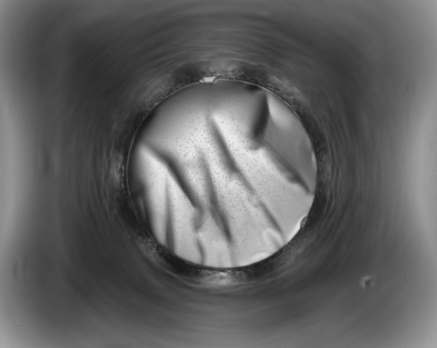 X0000086270083200704122037