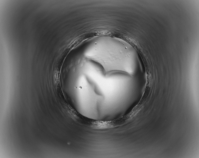 X0000086270093200704122037