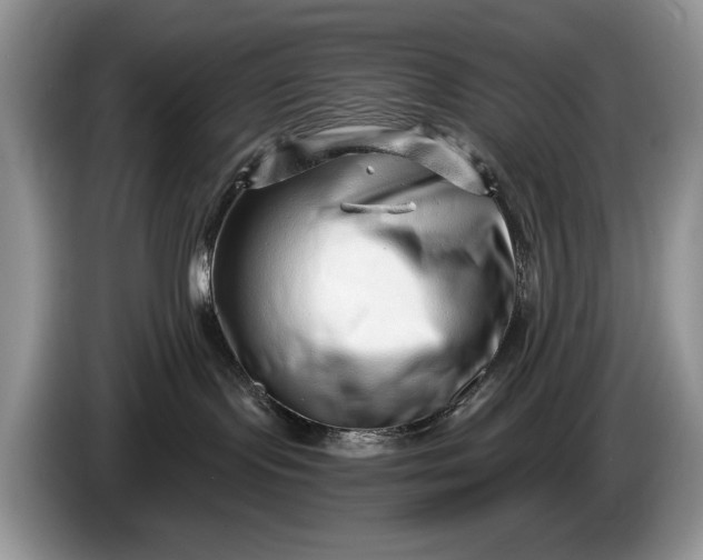 X0000086270095200704122037