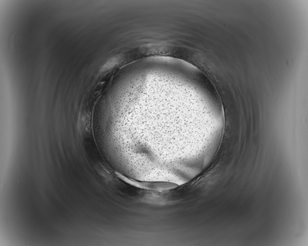 X0000086270096200704122037