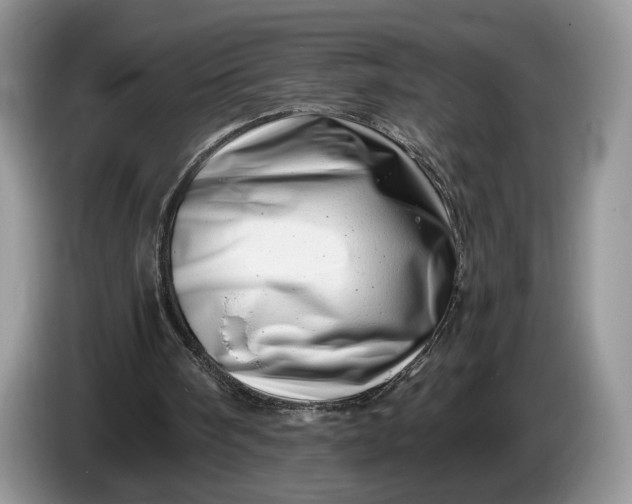 X0000086270098200704122036