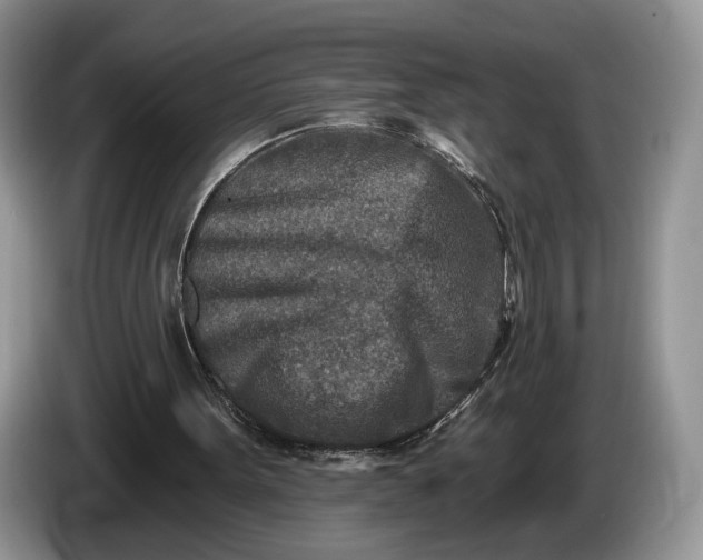 X0000086270099200704122036