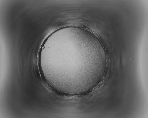 X0000086270100200704122036