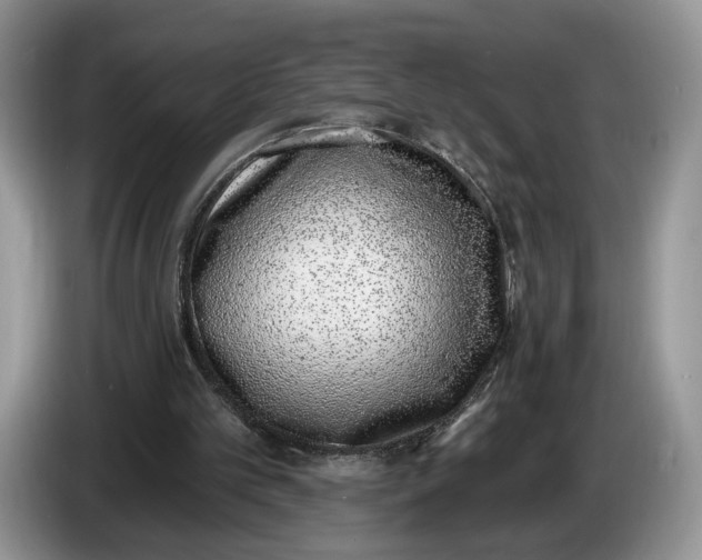 X0000086270101200704122036