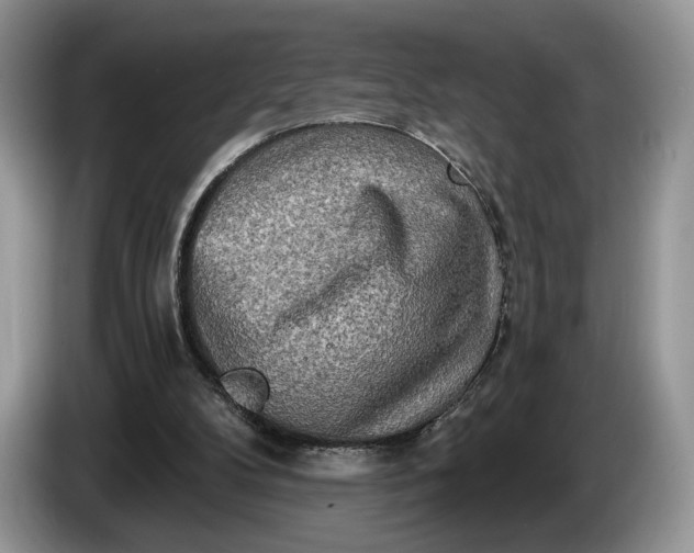 X0000086270104200704122036