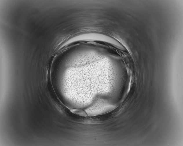 X0000086270109200704122036