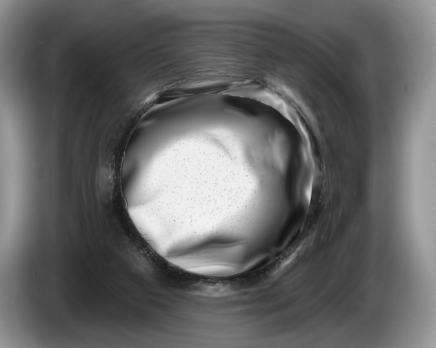 X0000086270113200704122036