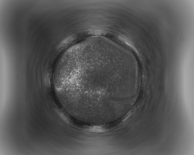 X0000086270114200704122036