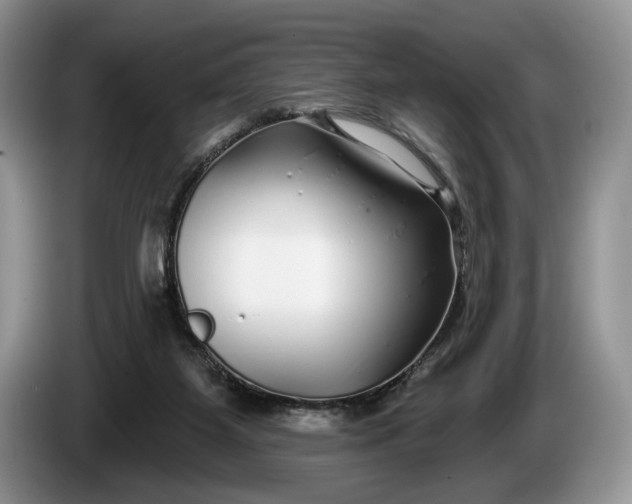 X0000086270115200704122036