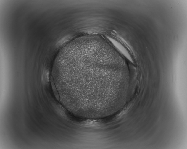 X0000086270117200704122036