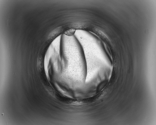 X0000086270119200704122036