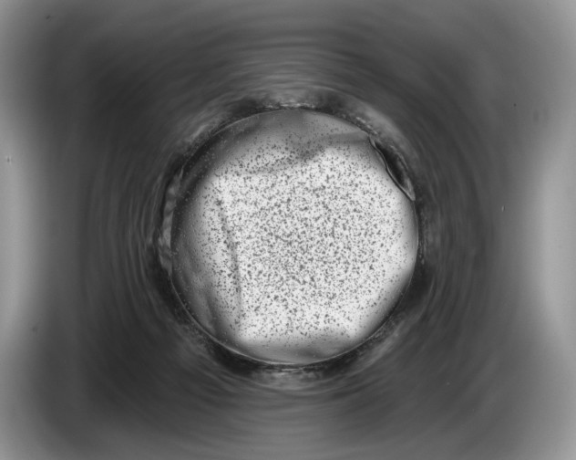 X0000086270121200704122036