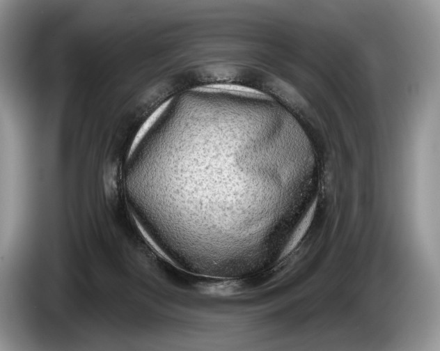 X0000086270122200704122036