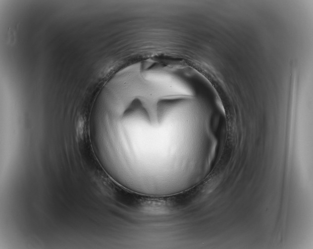 X0000086270123200704122036