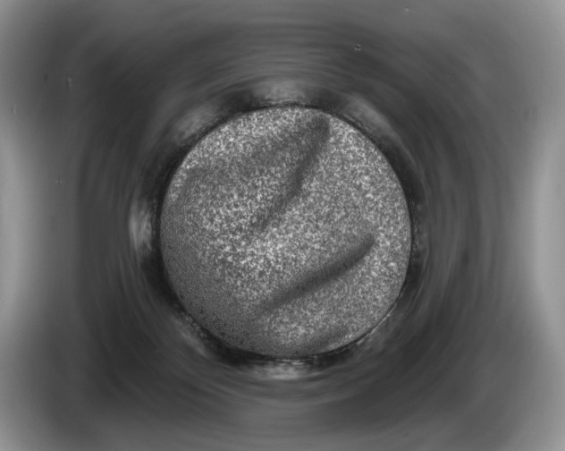 X0000086270124200704122036