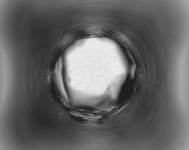 X0000086270125200704122036