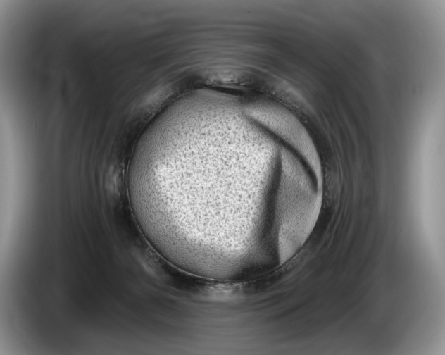 X0000086270126200704122036