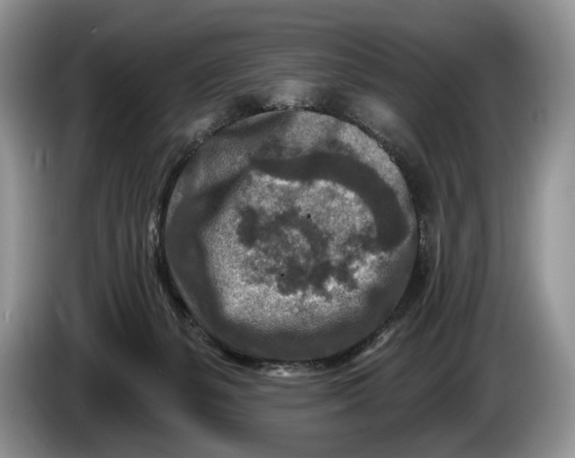 X0000086270127200704122036