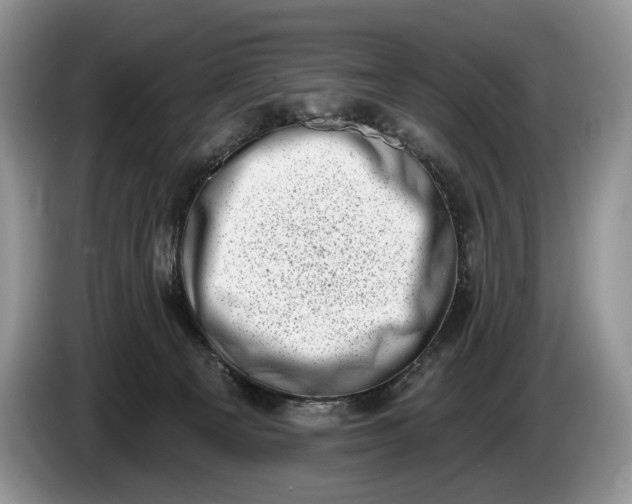 X0000086270129200704122036