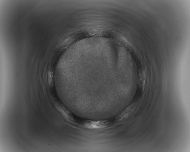 X0000086270130200704122036