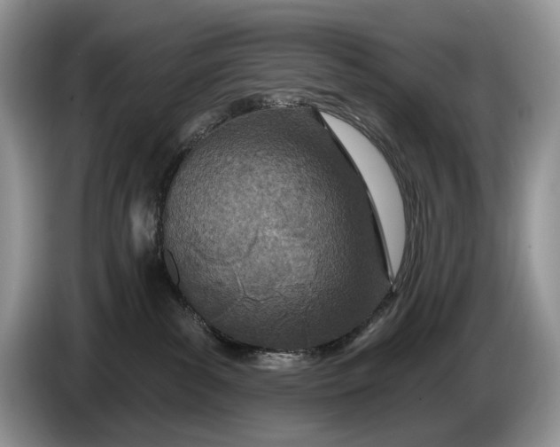 X0000086270139200704122036