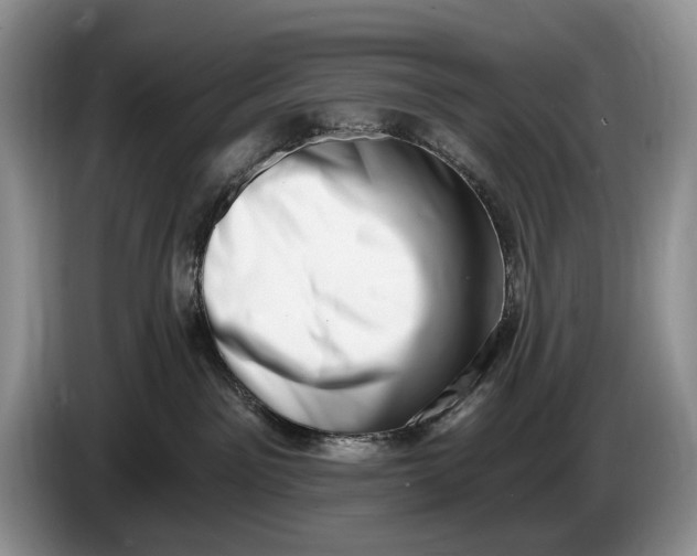 X0000086270141200704122036