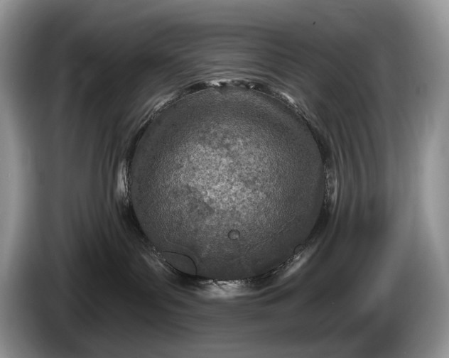 X0000086270143200704122036