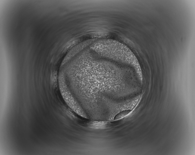 X0000086270144200704122036