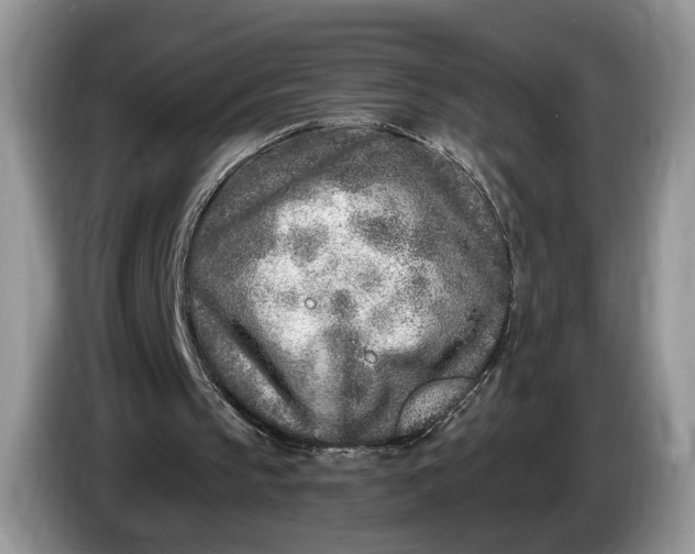 X0000086270145200704122035