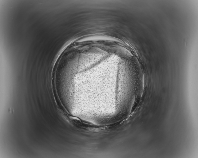 X0000086270147200704122035