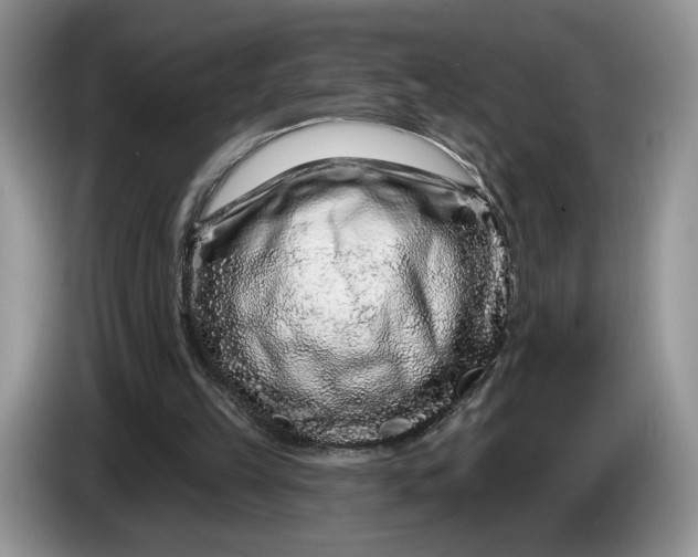 X0000086270149200704122035