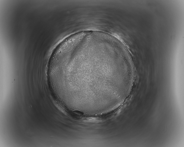 X0000086270151200704122035