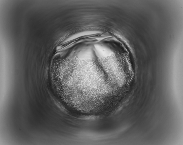 X0000086270153200704122035