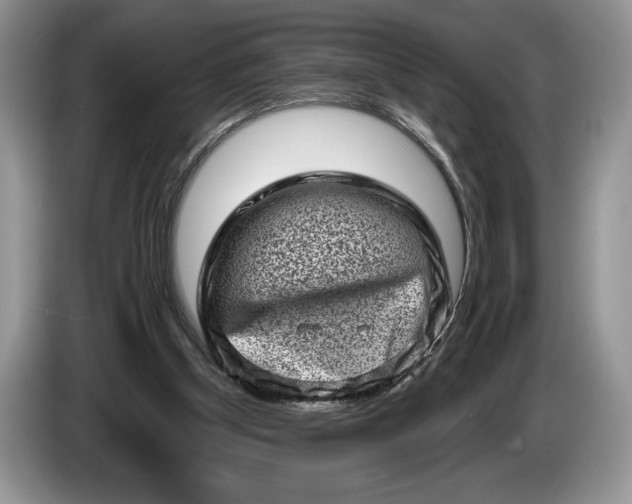 X0000086270154200704122035