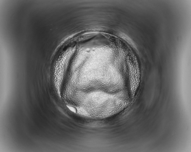 X0000086270155200704122035