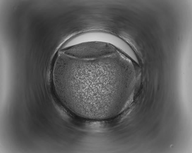 X0000086270156200704122035