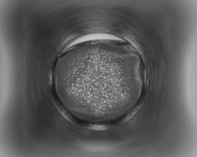 X0000086270157200704122035