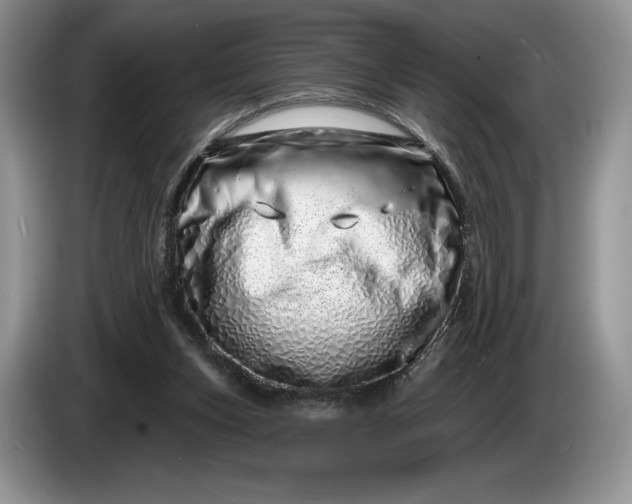 X0000086270159200704122035