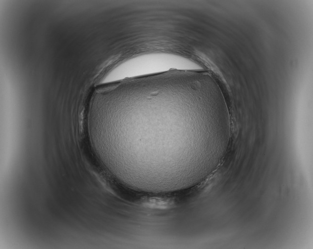 X0000086270163200704122036