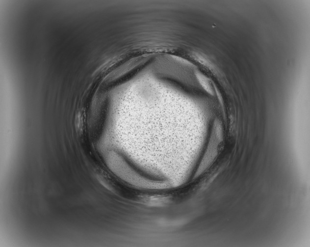 X0000086270165200704122036