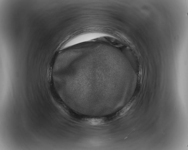 X0000086270168200704122036