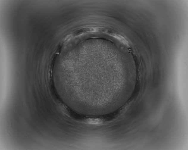 X0000086270169200704122036