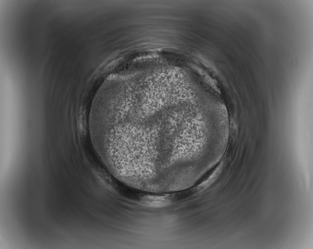 X0000086270170200704122036