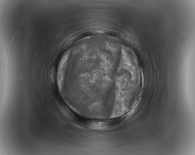 X0000086270174200704122036