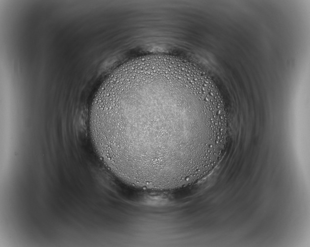 X0000086270175200704122036