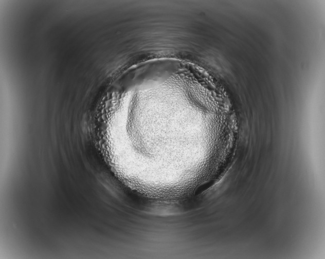 X0000086270179200704122036