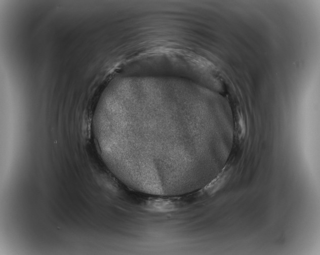 X0000086270180200704122036