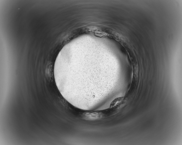 X0000086270181200704122036