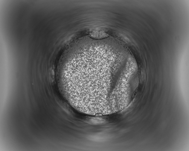 X0000086270183200704122036