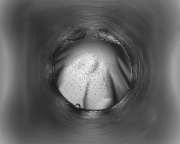 X0000086270184200704122036